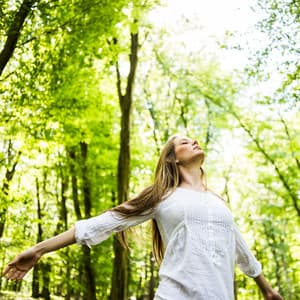 Nature Relaxation Melodies: Relaxing Bird Chorus Serenade for Peace - Nature Recordings