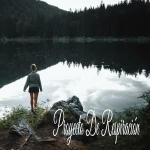 Proyecto De Respiración - Música Relajante