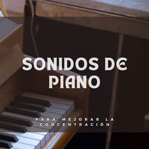 Sonidos De Piano Para Mejorar La Concentración - Radio relajante con piano