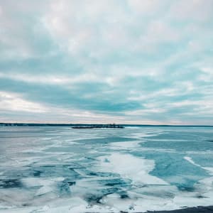 365 Feels: Unfiltered Drive - Lofi Chill