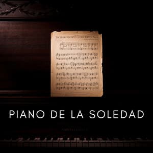 Piano De La Soledad - Ruido de Meditación
