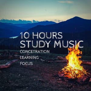 Study Music 10 Hours Concentration / Learning - Soothing Music