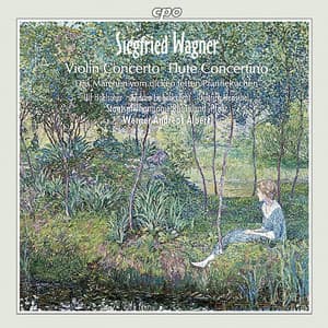 Wagner, S.: Violin Concerto / Konzertstuck / Das Marchen Von Dicken Fetten Pfannekuchen - Siegfried Wagner