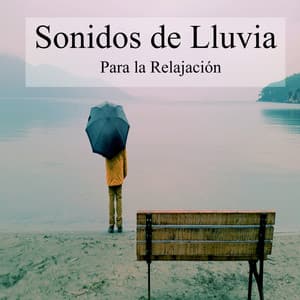 Sonidos de Lluvia para la Relajación - Musica para Estudiar Specialistas