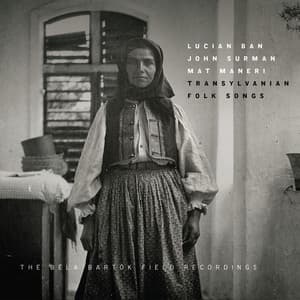 Transylvanian Folk Songs - Lucian Ban