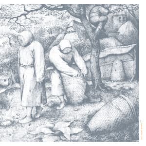 White2 - sunn O)))