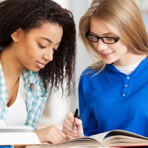 Feathered Ocean Academia: Ambient Bird Songs Igniting Curiosity and Study Focus - The Ocean Waves Sounds