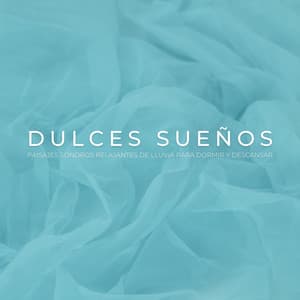 Dulces Sueños: Paisajes Sonoros Relajantes De Lluvia Para Dormir Y Descansar - Sonidos de lluvia para conciliar el sueño