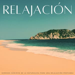 Relajación: Serenos Sonidos De La Naturaleza Para Una Relajación Profunda - Perspectiva de la naturaleza