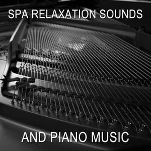 12 Spa Relaxation Sounds and Piano Music - Classical New Age Piano Music