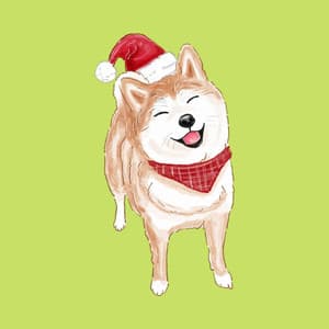 Backdrop for Scruffy Dog - Calma Música para Perros