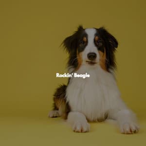 Rockin' Beagle - Montreal Jazz Classics
