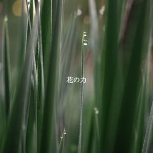 花の力 - Soft Jazz Style