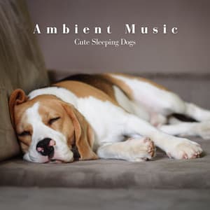 Ambient Music: Cute Sleeping Dogs - Dog Music Zone