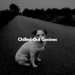Chilled-Out Canines - Chilled Morning Music