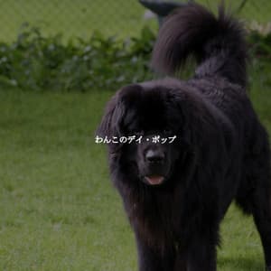 わんこのデイ・ポップ - Instrumental Study Music