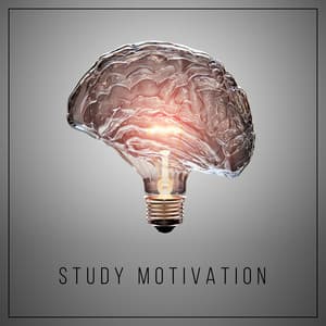 Study Motivation – Ambient White Noise Collection for Better Focus and Efficient - Exam Study Background Music Consort
