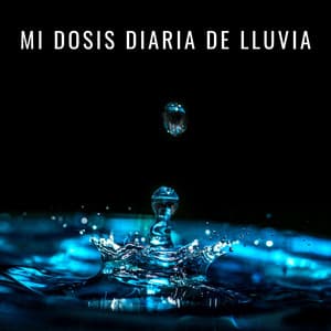 Mi Dosis Diaria De Lluvia - Efectos especiales de lluvia del bosque