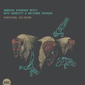 Perpetual Delirium - Andreas Schaerer