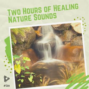 2 Hours of Healing Nature Sounds - #Zen