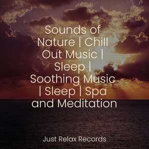 Sounds of Nature | Chill Out Music | Sleep | Soothing Music | Sleep | Spa and Meditation - Yoga Music