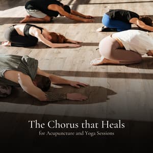 * The Chorus that Heals for Acupuncture and Yoga Sessions * - Mind of Peace