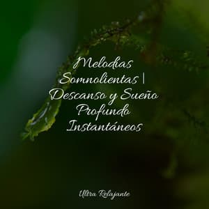 Melodías Somnolientas | Descanso y Sueño Profundo Instantáneos - Meditação Zen