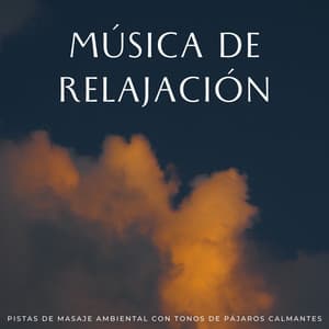 Música De Relajación: Pistas De Masaje Ambiental Con Tonos De Pájaros Calmantes - Santiago Lorenzo Amor