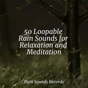 50 Loopable Rain Sounds for Relaxation and Meditation - Sonidos De Truenos y Lluvia
