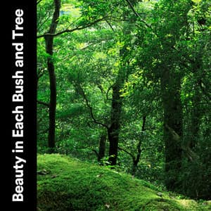 Beauty in Each Bush and Tree - Mother Nature Soundscapes