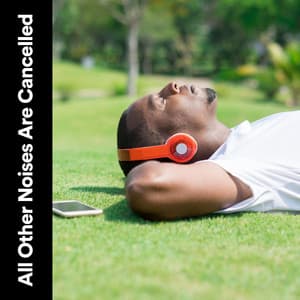 All Other Noises Are Cancelled - Sounds of Nature White Noise for Mindfulness