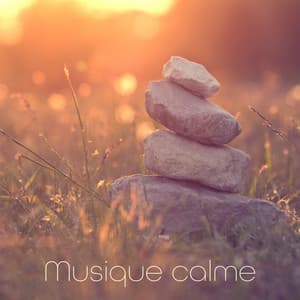 Musique calme - Bien-être Spa Musique Collection