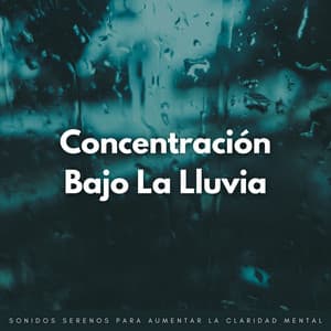 Concentración Bajo La Lluvia: Sonidos Serenos Para Aumentar La Claridad Mental - Ejemplo de biblioteca de lluvia