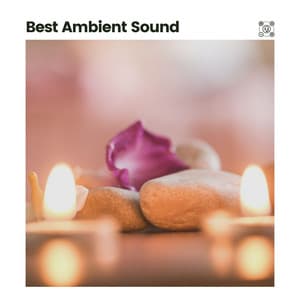 Best Ambient Sound - Easy Ambient Mind Body Soul Healing Meditation Music