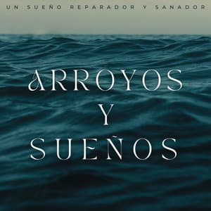 Arroyos Y Sueños: Un Sueño Reparador Y Sanador - Paisajes sonoros de agua