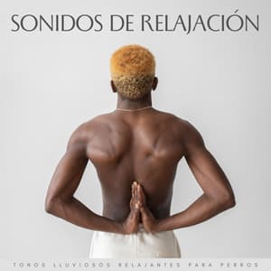 Sonidos De Relajación: Tonos Lluviosos Relajantes Para Perros - Sonido de lluvia ricky