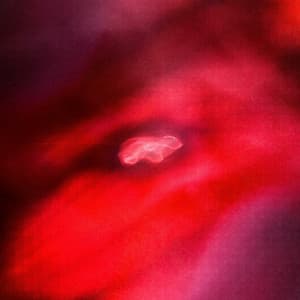 The Faded Orbit - SaffronKeira