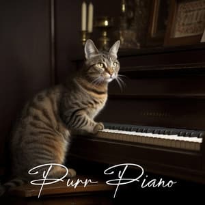 Purr Piano: Anti-Anxiety Music for Cats, Calmness for Stressed Cats, Kitten Relaxation - Cats Music Zone