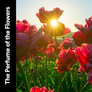 The Perfume of the Flowers - Rain Sounds Nature Collection