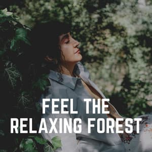 Feel the Relaxing Forest - The Nature Soundscapes