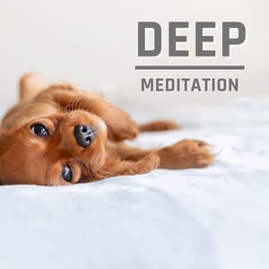 Deep Meditation - Baby Lullaby Collective