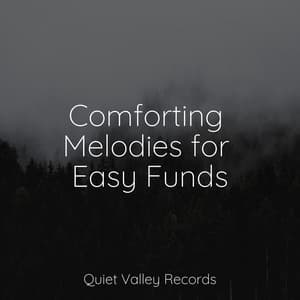 Comforting Melodies for Easy Funds - Lush Rain Creators