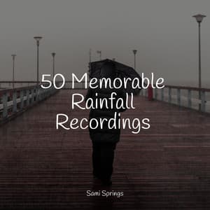 50 Memorable Rainfall Recordings - The Relaxing Sounds of Water