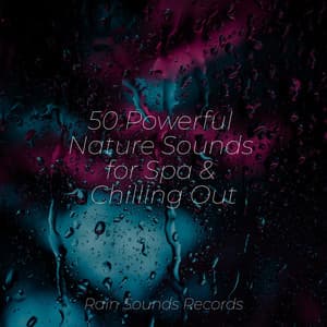 50 Powerful Nature Sounds for Spa & Chilling Out - Sleep Sounds of Nature