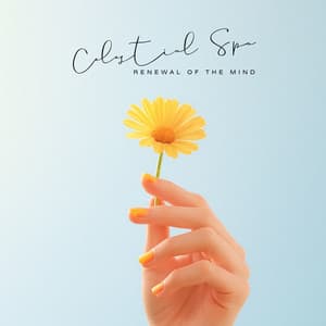 Celestial Spa Renewal of the Mind - Masseuse Meredith