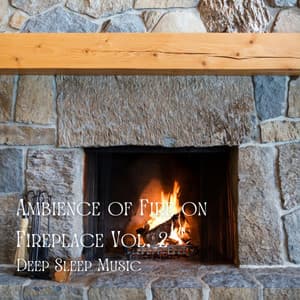 Deep Sleep Music: Ambience of Fire on Fireplace Vol. 2 - Sleepy Cats