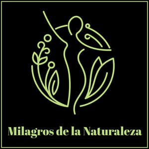 Milagros de la Naturaleza: Música de Fondo para Tu Relajación de Tarde, Sonidos Naturales para Alivio del Estrés - Academia de Música para Reducir el Estrés