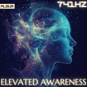 Elevated Awareness: 741 Hz Meditation Frequencies - Study Music for Deep Focus, Concentration and Meditation - Meditation Music