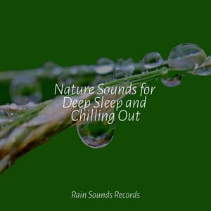 Nature Sounds for Deep Sleep and Chilling Out - Chillout Lounge