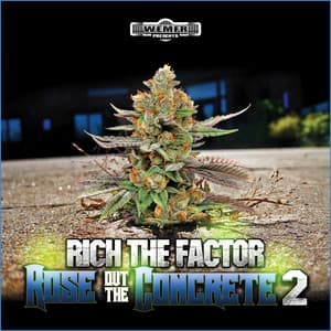 Rose Out The Concrete 2 - Rich The Factor